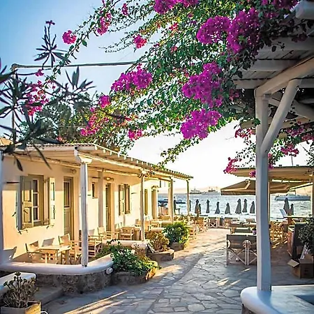 Agia Anna Beachfront Boutique Mykonos Town